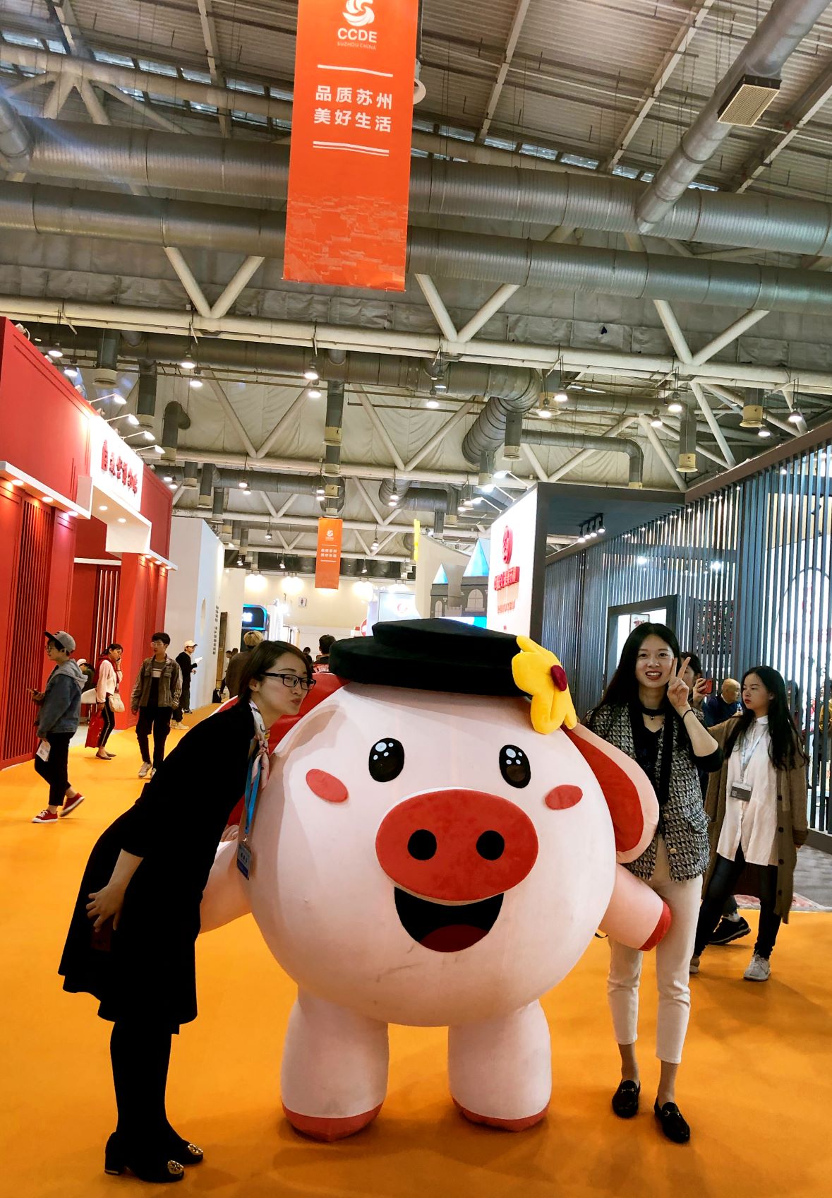 Super Cute! Piggy Kiki appeared(图6)